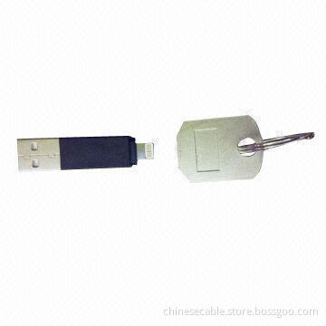 Keychain Data Cable
